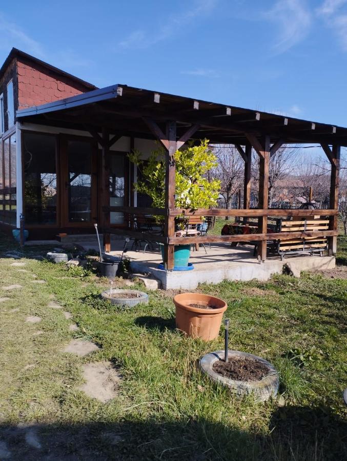 Punct Gastronomic Local Acasa La Vero Schiulesti Zewnętrze zdjęcie